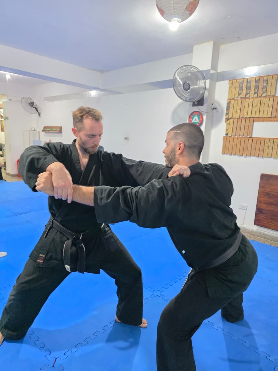 Meditación y Ki
